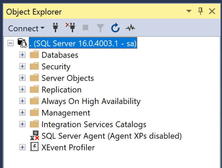SQL Server Management Studio - CObject Explorer